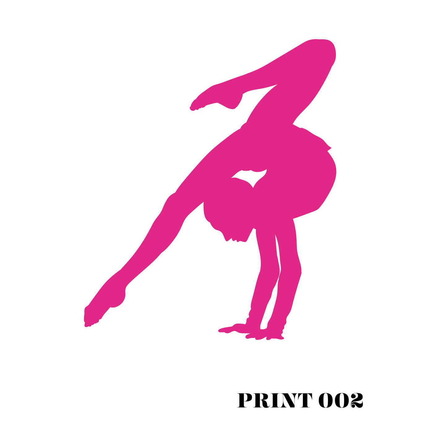 Gymnast Position Prints - High Definition