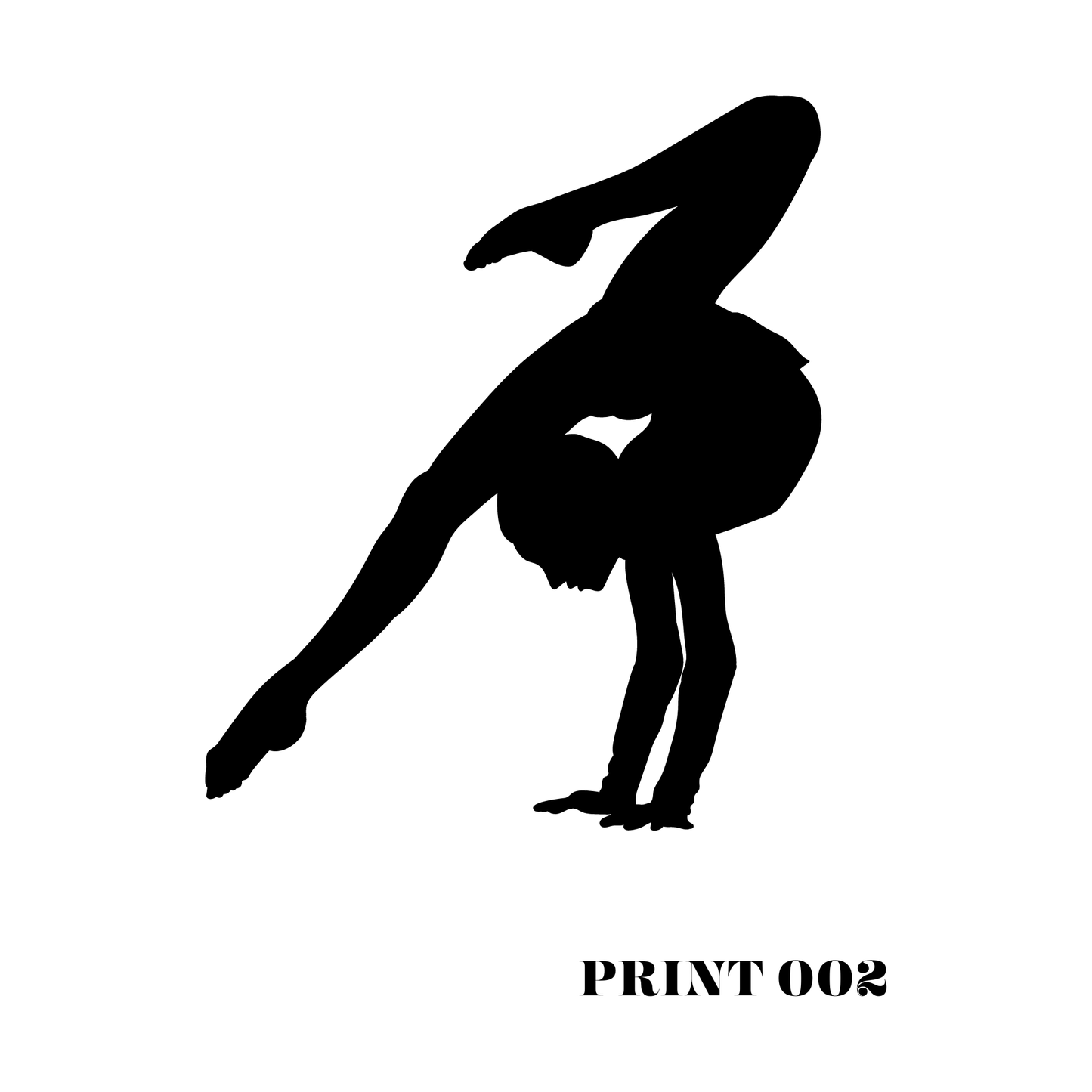 Gymnast Position Prints - High Definition