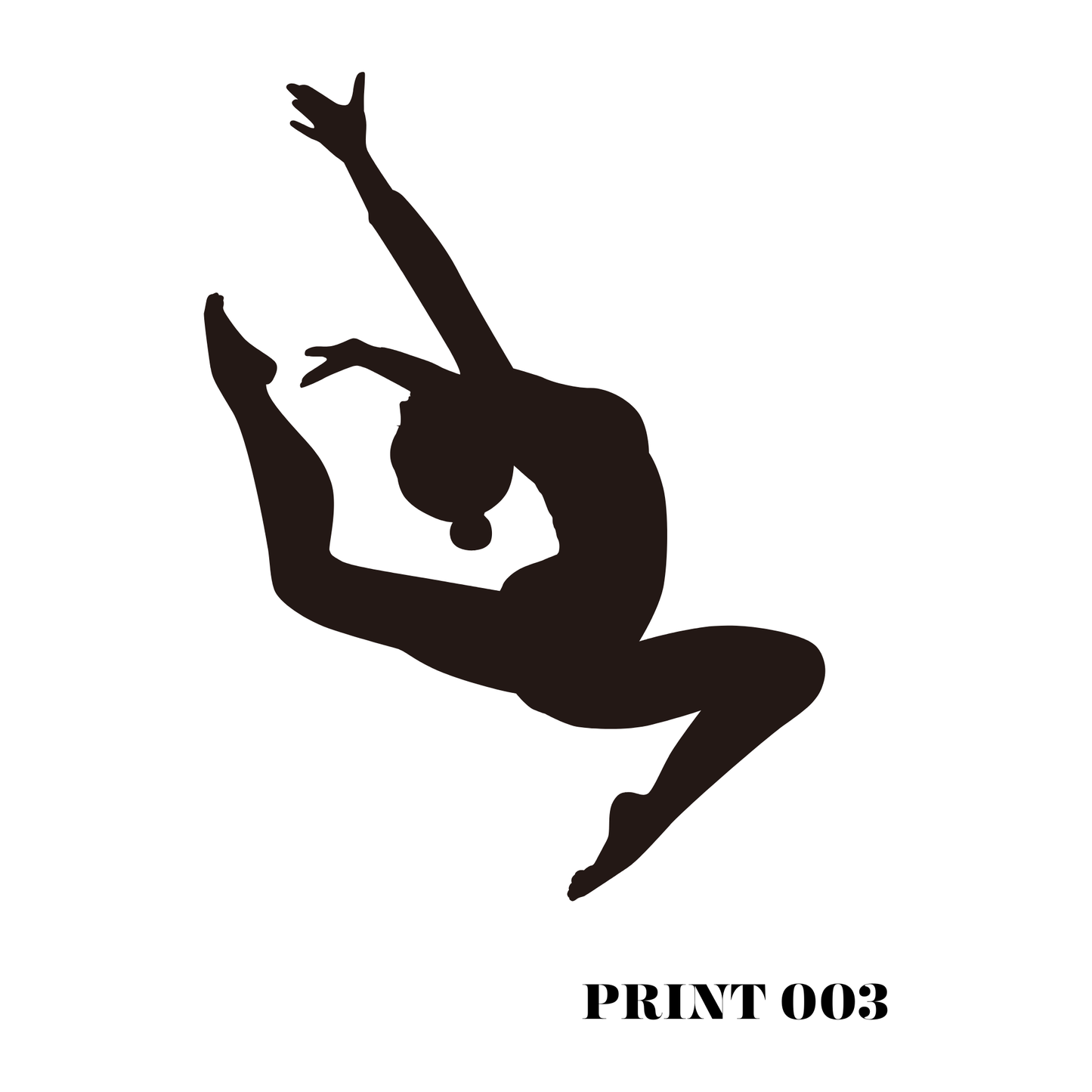 Gymnast Position Prints - High Definition